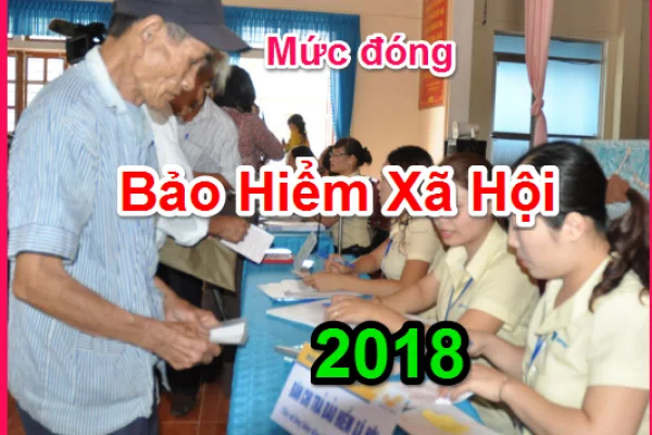 Mức đóng bảo hiểm xã hội theo quy định mới nhất