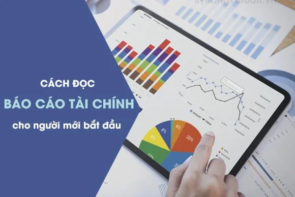 Cách Đọc Báo Cáo Tài Chính Cho Người Mới Bắt Đầu