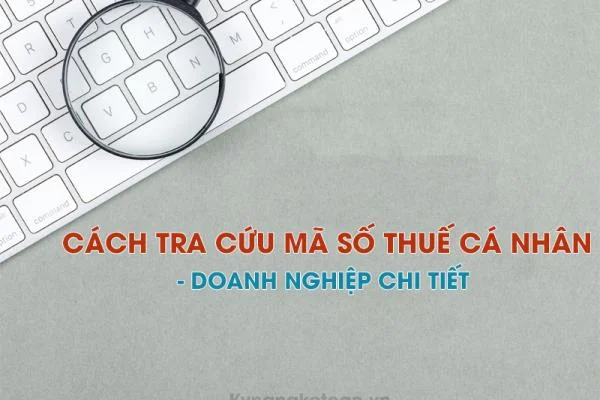 Cách Tra Cứu Mã Số Thuế Cá Nhân - Doanh Nghiệp Chi Tiết