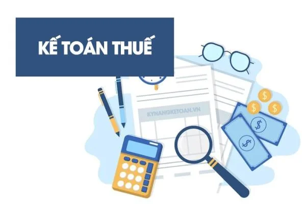 Kế Toán Thuế Là Gì? Những Điều Cần Biết Về Kế Toán Thuế