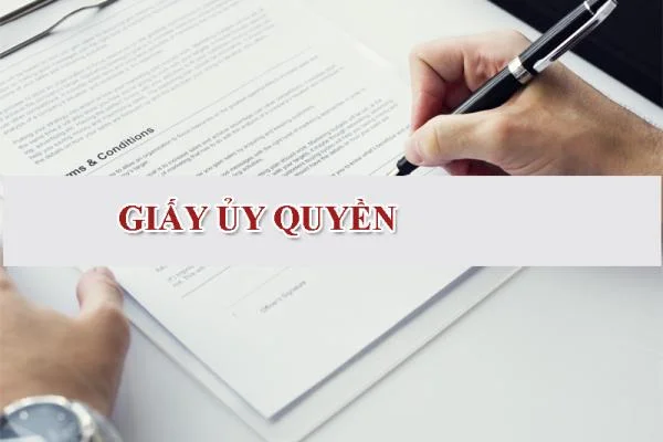 Mẫu giấy ủy quyền cá nhân, công ty mới nhất