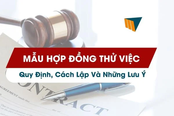 Mẫu Hợp Đồng Thử Việc: Quy Định, Cách Lập Và Những Lưu Ý