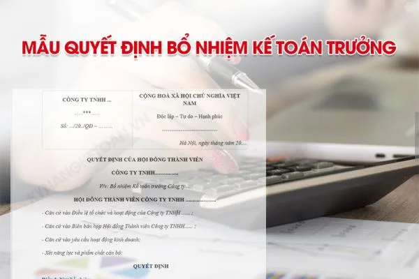 Mẫu quyết định bổ nhiệm kế toán trưởng (Công ty Cổ phần, TNHH, cơ quan nhà nước)