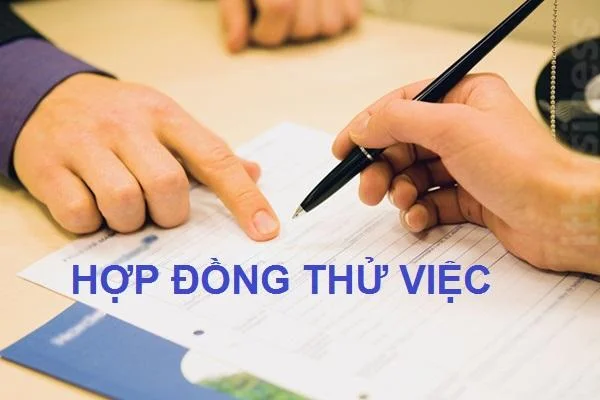 Quy định về hợp đồng thử việc mới nhất