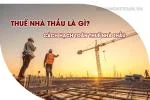 Thuế Nhà Thầu Là Gì? Cách Hạch Toán Thuế Nhà Thầu Chi Tiết