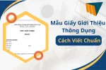 Mẫu Giấy Giới Thiệu Thông Dụng – Cách Viết Chuẩn