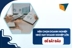 Nên Chọn Doanh Nghiệp Nhỏ Hay Doanh Nghiệp Lớn Để Bắt Đầu?