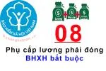 Infogaphic: 08 khoản phụ cấp lương tính đóng BHXH bắt buộc