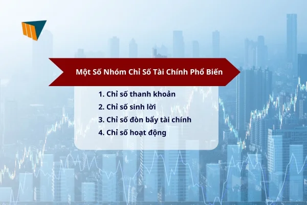 nhom-chi-so-tai-chinh