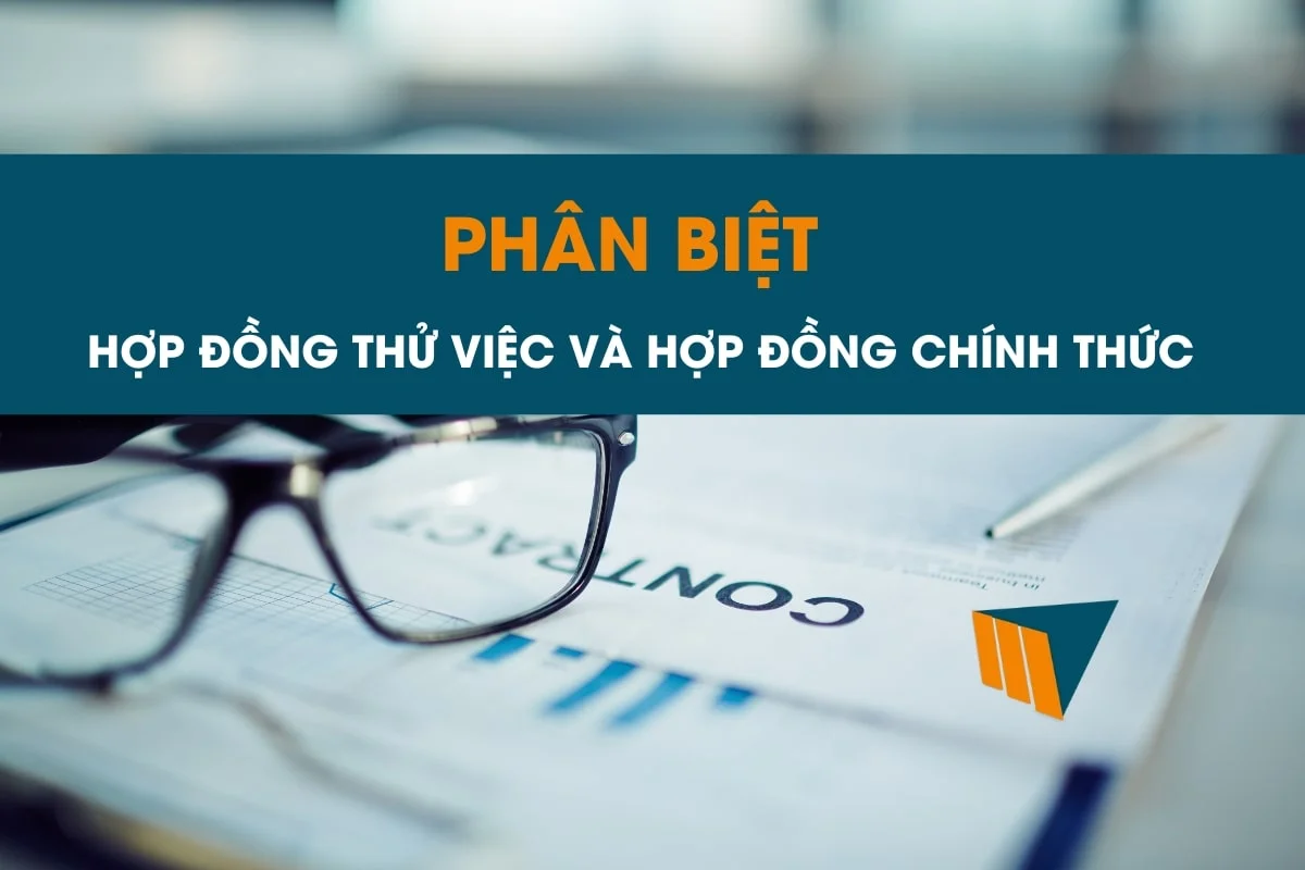 phan-biet-hop-dong-thu-viec-va-hop-dong-chinh-thuc-min